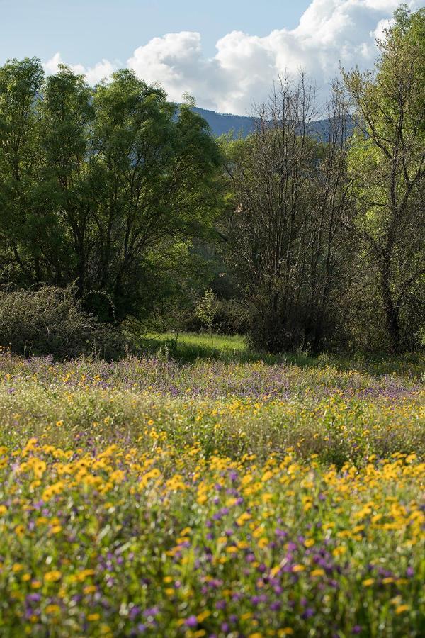 Saqa Organic Farm Villa Pera Boa Bagian luar foto